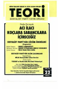 Teori 22 - Ekim 1991