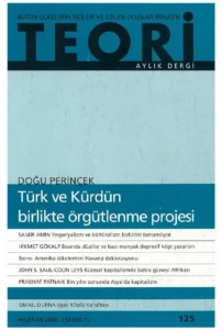 TÜRK VE KÜRDÜN BİRLİKTE ÖRGÜTLENME PROJESİ | Teori Haziran 2000