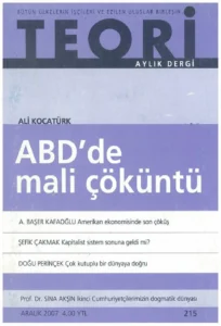 abd'de mali çöküntü | Teori Aralık 2007