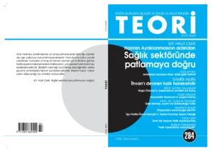 SAĞLIK SEKTÖRÜNDE PATLAMAYA DOĞRU: HAZİRAN AYAKLANMASI | Teori Eylul 2013