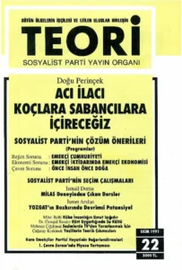 Teori 22 - Ekim 1991